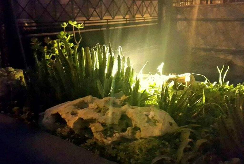 레체 Lo Specchio Del Salento B&B 외부 사진
