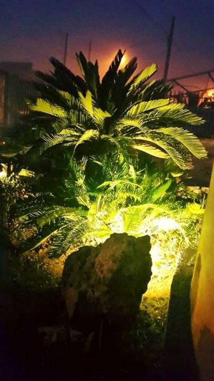 레체 Lo Specchio Del Salento B&B 객실 사진